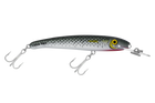 Mullet