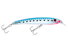 Pilchard