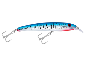 Baitfish