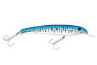 Baitfish