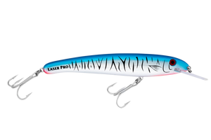 Baitfish