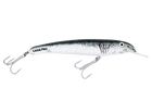 Great White