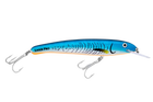 Blue Fluoro