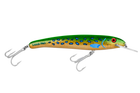 Trout Envy