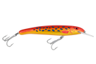 Coral Trout