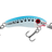 Pilchard