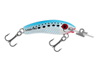 Pilchard