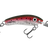 Rainbow Trout