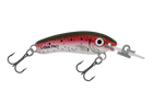 Rainbow Trout