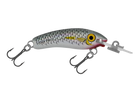Mullet