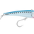 Pilchard