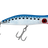 Pilchard