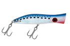 Pilchard