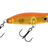 Koi