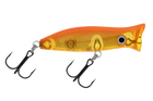 Koi