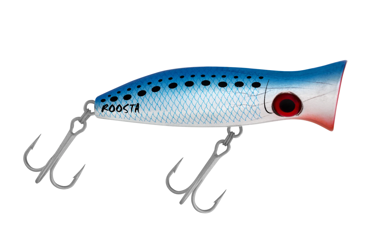Halco - Roosta Popper 80
