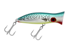 Bonito