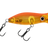 Koi