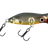 Poddy