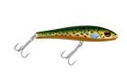 Trout Envy