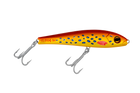 Coral Trout