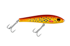 Coral Trout