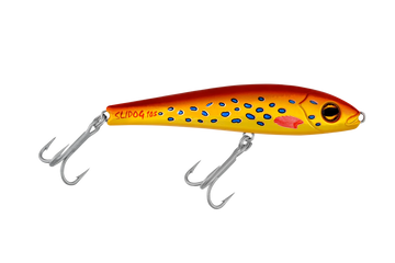Coral Trout