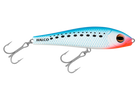 Pilchard
