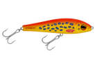 Coral Trout