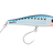 Pilchard