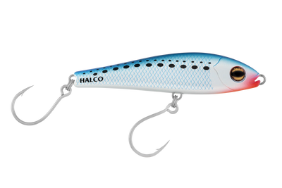 Pilchard