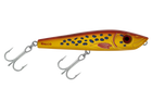 Coral Trout