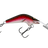 Rainbow Trout