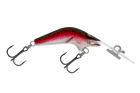 Rainbow Trout
