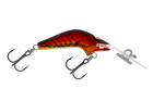 Crawfish