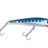 Pilchard