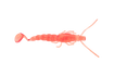 Halco Madeyes - Paddle Prawn 4"