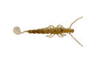 Raw Prawn