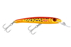 Coral Trout