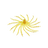 Amber Oil