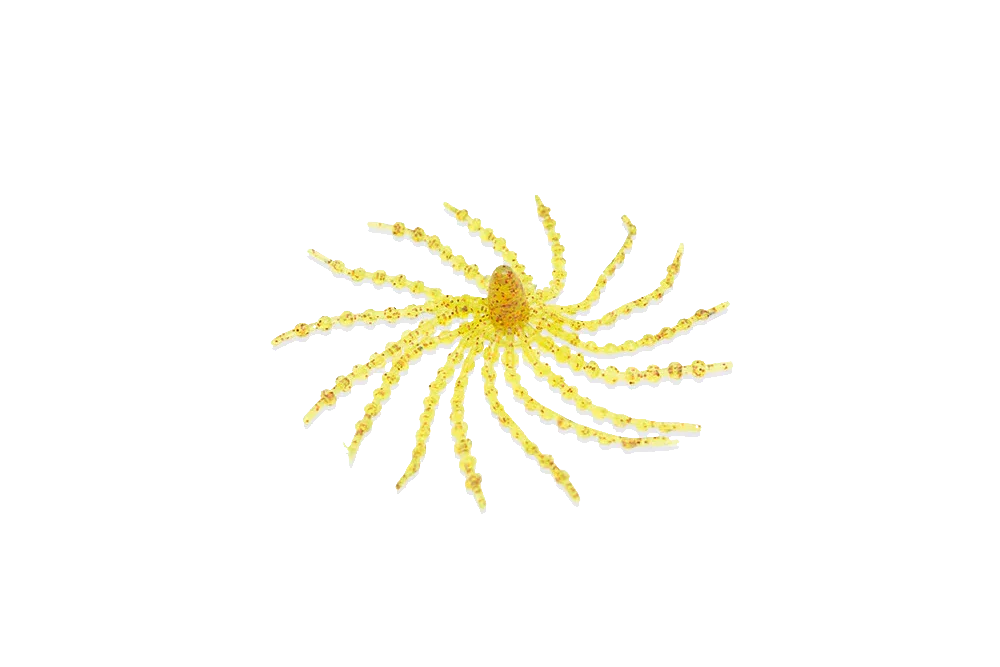 Halco Madeyes - Octoskirt