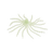 Glow