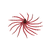 Blood Red