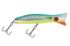 Bonito