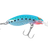 Pilchard