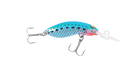 Pilchard