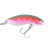 Rainbow Trout