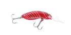 Bloody Crawfish