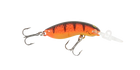 Crawfish