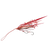 #1 Red Shrimp